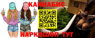 mdpv Ярославль