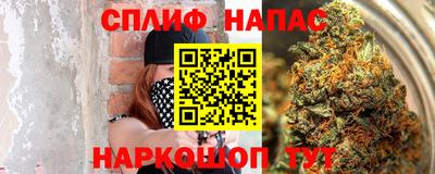 mdpv Ярославль
