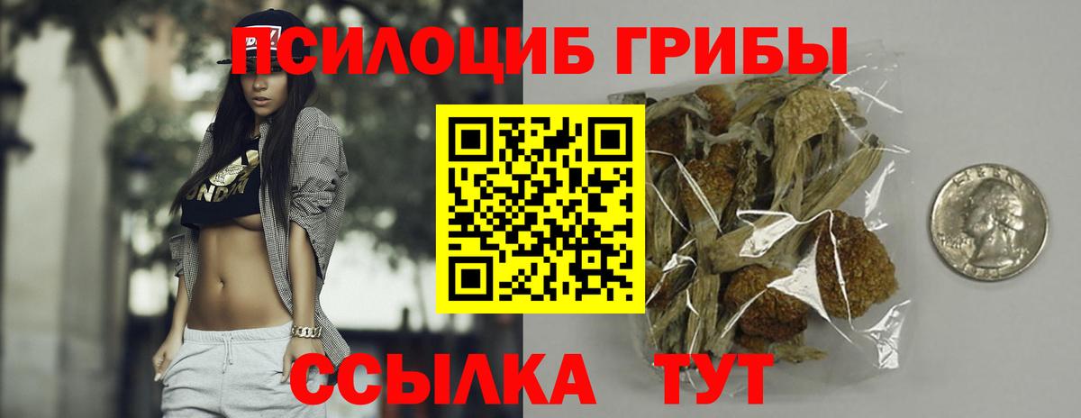 магазин    Псилоцибиновые грибы Psilocybine cubensis  Вход с VPN  Губаха 