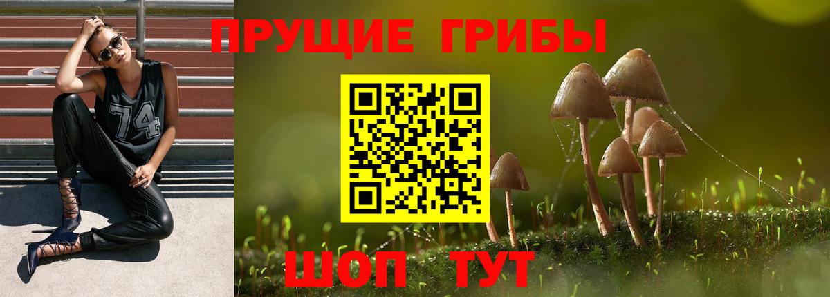 Псилоцибиновые грибы мухоморы Губаха